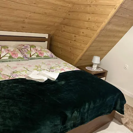 Apartment Natalii Nowy Targ